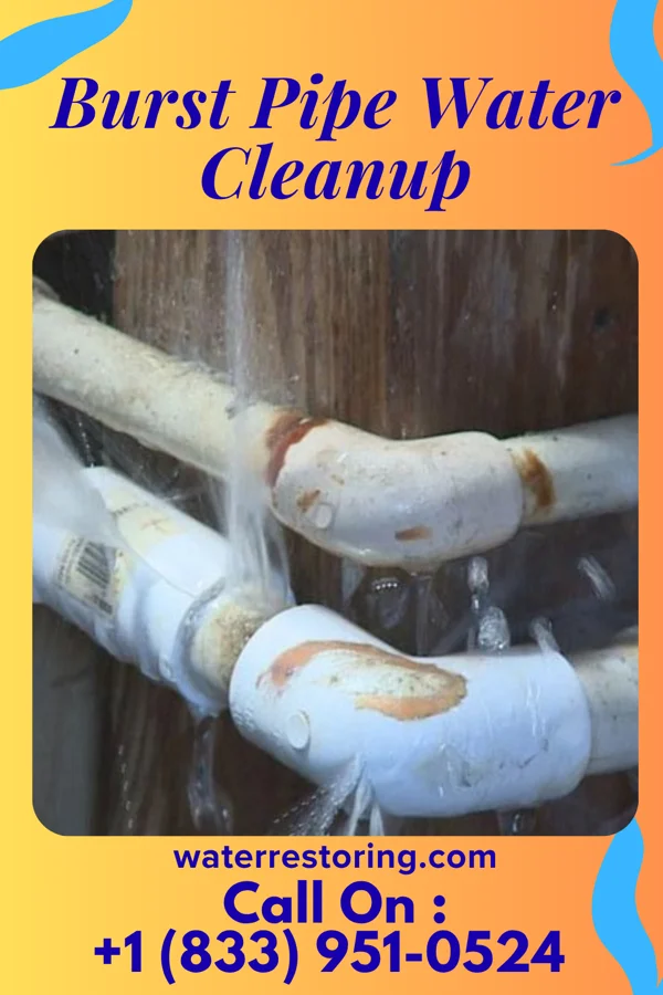 Burst Pipe Water Cleanup in Foster Center, RI