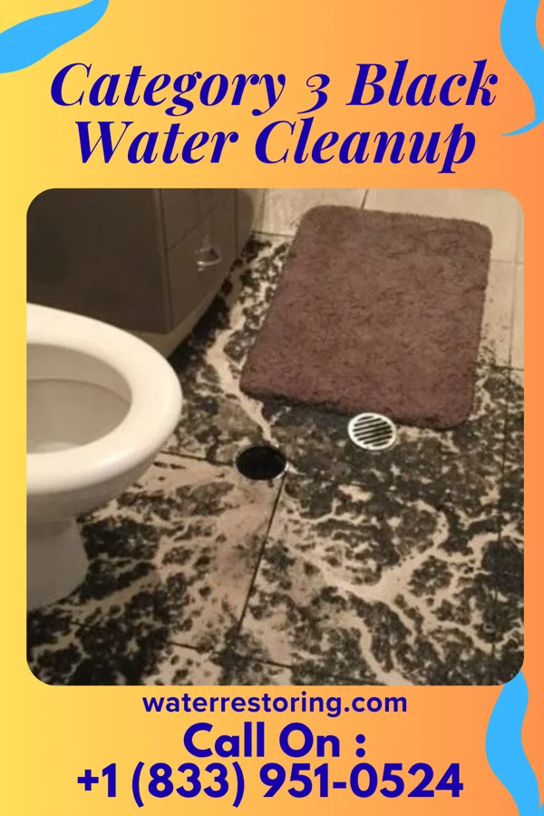 Category 3 Black Water Cleanup in Foster Center, RI
