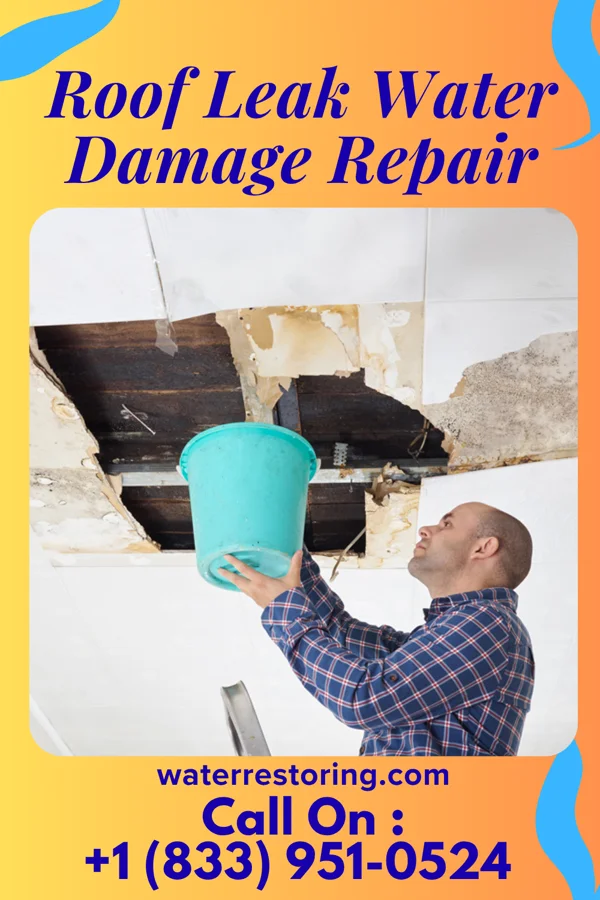 Roof Leak Water Damage Repair in Foster Center, RI