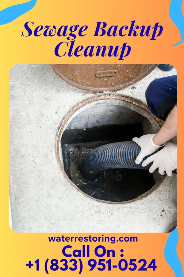 Sewage Backup Cleanup in Foster Center, RI